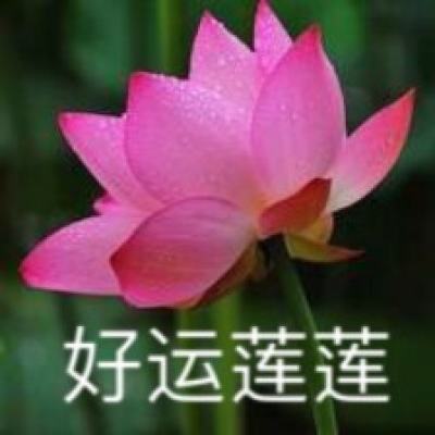 圣火英雄传破解版下载